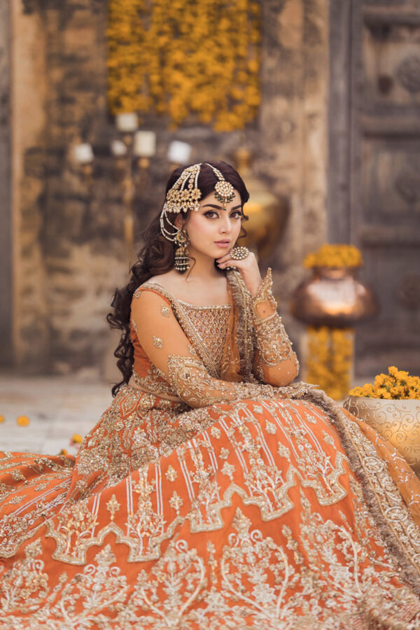 Sukhan - Image 5