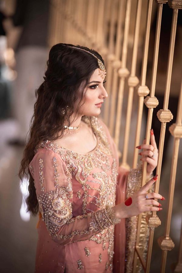 Gull-e-Bahar - Image 2