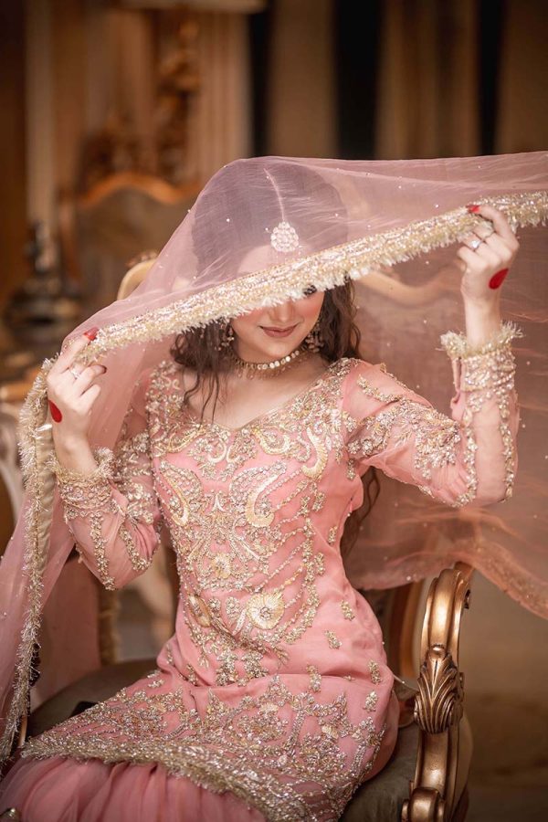 Gull-e-Bahar - Image 3